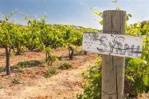 syrah teken Aan houten post in een druif wijngaard foto