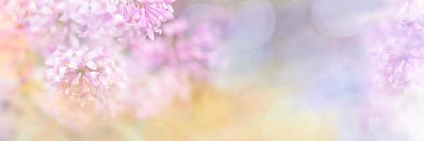 mooi wazig geel-roze ontwerp grens van lila bloemen met bokeh voor uitnodiging of groet kaart. foto