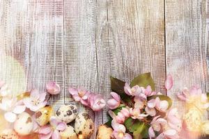 feestelijk Pasen achtergrond van roze appel boom bloemen met groen bladeren en kwartel eieren Aan houten achtergrond met bokeh. foto