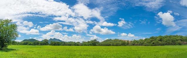 panoramisch landschapsmening van groen grasveldagent blauwe lucht foto