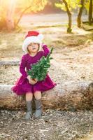 schattig gemengd ras jong baby meisje hebben pret met de kerstman hoed en Kerstmis boom buitenshuis Aan log foto