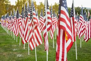 veld- van veteranen dag Amerikaans vlaggen golvend in de wind. foto