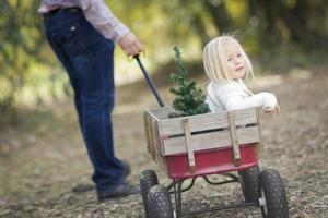 vader trekt baby meisje in wagon met Kerstmis boom foto