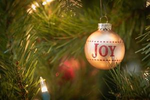 vreugde geschreven Aan Kerstmis ornament hangende Aan boom foto