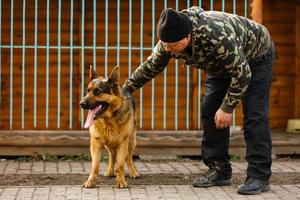 een Mens opleiding zijn Duitse herder hond buitenshuis foto