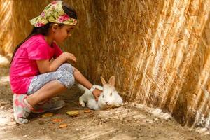 schattig weinig kind voeden een konijn Bij boerderij foto