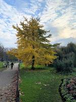 een visie van st James park in Londen in de herfst foto