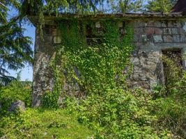 de muur van een oud verlaten huis, overwoekerd met planten. verlaten gebouw. foto