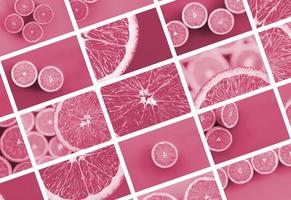 een collage van veel afbeeldingen met sappig sinaasappelen. reeks van afbeeldingen met fruit en verschillend kleuren beeld afgezwakt in viva magenta, kleur van de 2023 jaar foto