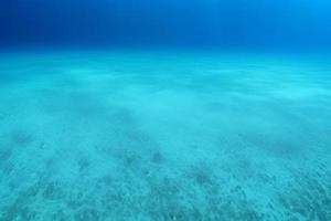 onderwater- tafereel. oceaan koraal rif onderwater. zee wereld onder water achtergrond. foto