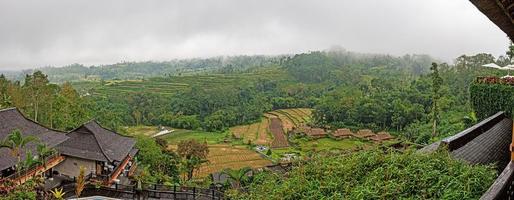 visie over- typisch rijst- terrassen Aan de eiland van Bali in Indonesië foto