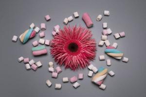 roze bloem en marshmallows Aan de grijs achtergrond. foto