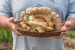 tamarinde in mand Aan de tafel achtergrond. vers tamarinde fruit foto