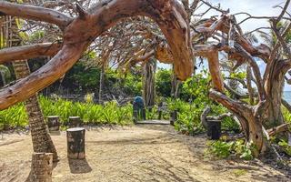 tropisch natuurlijk wandelen pad palm bomen tulum mayan ruïnes Mexico. foto