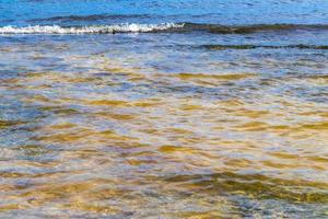 turkoois groen blauw water met stenen rotsen koralen strand Mexico. foto