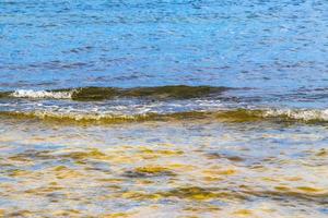 turkoois groen blauw water met stenen rotsen koralen strand Mexico. foto