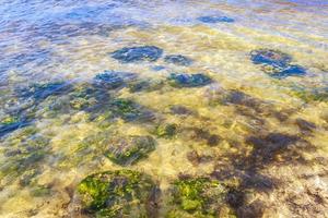 turkoois groen blauw water met stenen rotsen koralen strand Mexico. foto