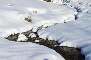 besneeuwd kreek in natuur foto