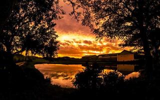 zonsondergang landschap in dorp met bomen in silhouet foto