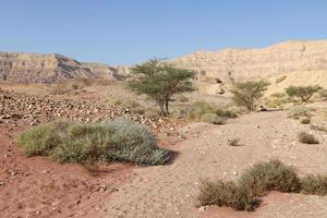 de negev is een woestijn in de midden- oosten, gelegen in de zuiden van Israël. foto