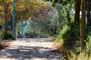 weg voor voetgangers in een stad park in noordelijk Israël. foto