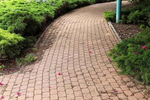 weg voor voetgangers in een stad park in noordelijk Israël. foto