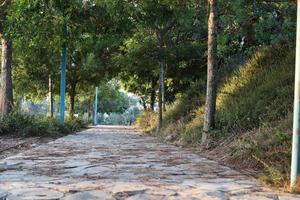 weg voor voetgangers in een stad park in noordelijk Israël. foto