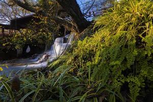 de laatste schoonheden van herfst voordat winter begint foto