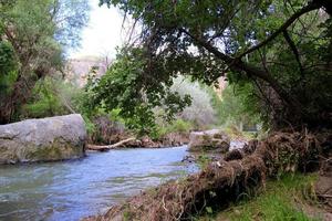 reizen naar Cappadocië, kalkoen. de visie Aan de berg rivier- met de bomen. foto