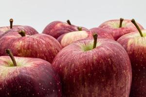 vers rood appels Aan wit achtergrond. detailopname foto