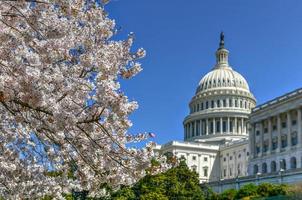 ons Capitol gebouw - Washington, dc foto