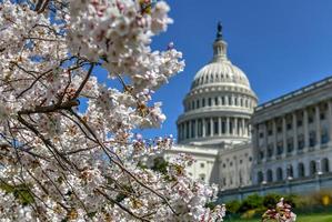 ons Capitol gebouw - Washington, dc foto