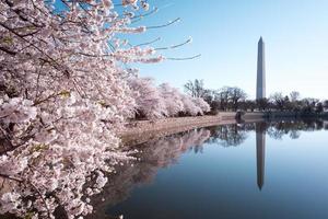 Washington Monument in Washington DC, Verenigde Staten foto
