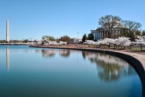 Jefferson gedenkteken - Washington gelijkstroom foto