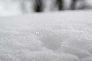 pluizig wit sneeuw Aan de grond in winter foto