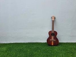 Jakarta, Indonesië in april 2022. deze donker bruin ukulele door de merk mijn leho heeft mooi zo kwaliteit en een luid en melodieus geluid foto