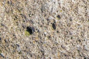 dichtbij omhoog visie Bij een graniet en steen muur structuur in een huurt foto