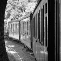 speelgoed- trein in beweging Aan berg helling, mooi visie, een kant berg, een kant vallei in beweging Aan spoorweg naar de heuvel, tussen groen natuurlijk bos.speelgoed trein van kalka naar shimla in india-zwart en wit foto