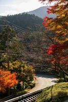 lokaal straat weg tussen berg heuvel onder esdoorn- boom bladeren gedurende herfst met kleur verandering Aan blad in oranje geel en rood, vallend natuurlijk achtergrond structuur herfst concept foto