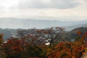 landschap visie van esdoorn- boom Woud in herfst vallen seizoen terwijl esdoorn- bladeren verandering naar rood oranje en achtergrond van berg reeks onder zonneschijn dag foto