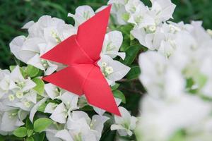 vlinder origami met bloem foto