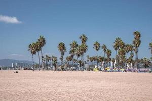 toneel- visie van palm bomen groeit Aan Venetië strand gedurende tropisch klimaat foto