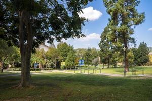 toneel- visie van bomen groeit Aan met gras begroeid landschap Bij tuin in ucla campus foto