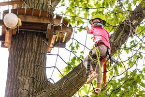 gelukkig weinig kinderen in een touw park Aan de hout achtergrond foto