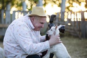 een fotograaf duurt een afbeelding van een dier. een Mens met een camera wil naar nemen een afbeelding van een grappig weinig geit. foto