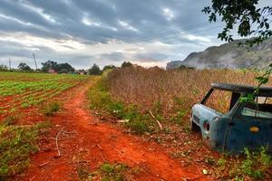 tabak plantage en een verlaten busje in de vinales vallei, noorden van Cuba. foto