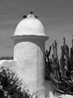 tenerife eiland in spanje foto