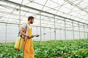 jong kas arbeider in geel uniform gieter planten door gebruik makend van speciaal uitrusting binnen van broeikas foto