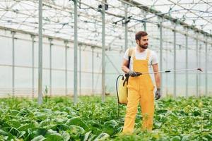 jong kas arbeider in geel uniform gieter planten door gebruik makend van speciaal uitrusting binnen van broeikas foto