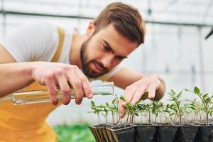 gebruik makend van test buis en gieter planten. jong kas arbeider in geel uniform hebben baan binnen van broeikas foto